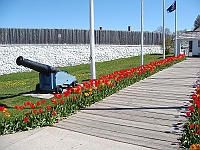 200 Memorial Day [2008 May 23]